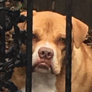 Meet your Posher, Carlos